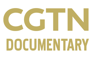 CGTN Documentary.CGTN纪录频道
