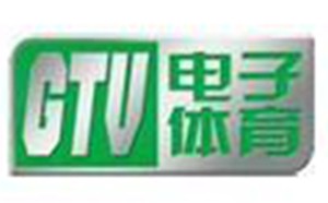 辽宁gtv电子体育频道